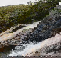 Davies Creek National Park and Dinden National Park - Accommodation Sunshine Coast