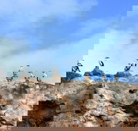 Dirk Hartog Island National Park - Accommodation Sunshine Coast