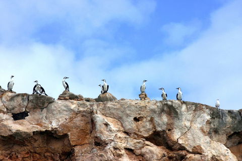 Dirk Hartog Island National Park - Accommodation Sunshine Coast 0