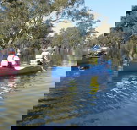 Doodle Cooma Swamp - Accommodation Sunshine Coast