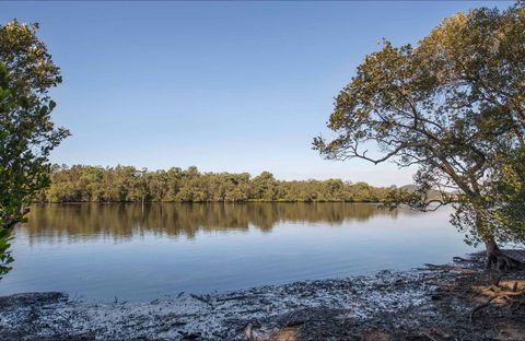 Double Wharf Picnic Area - Accommodation Sunshine Coast 0