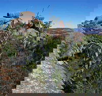 Evans Crown Nature Reserve - Accommodation Sunshine Coast