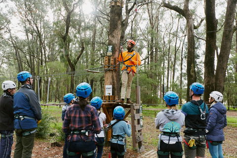 Forest Adventures South West - Accommodation Sunshine Coast 0
