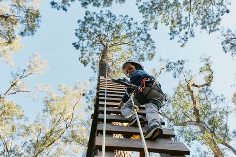 Forest Adventures South West - Accommodation Sunshine Coast 1