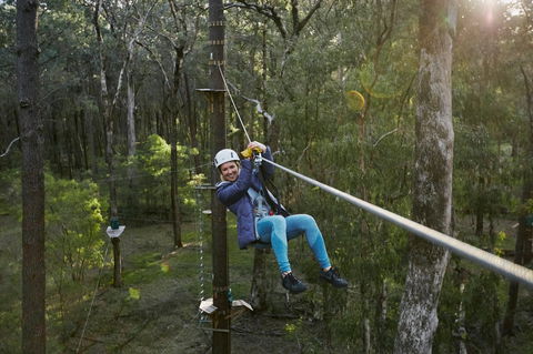 Forest Adventures South West - Accommodation Sunshine Coast 2