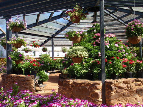 Geelong Botanic Gardens - Accommodation Sunshine Coast 1