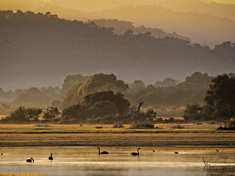 Greens Beach - Accommodation Sunshine Coast 0