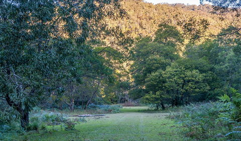 Griffins Walking Track - Accommodation Sunshine Coast 0