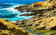 Gumnut Hideaway Gallery - thumb 2