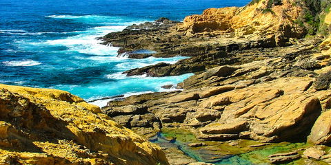 Gumnut Hideaway Gallery - Accommodation Sunshine Coast 2