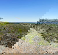 Hale Conservation Park - Accommodation Sunshine Coast
