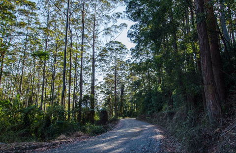 Hastings Forest Way Touring Route - Accommodation Sunshine Coast 0