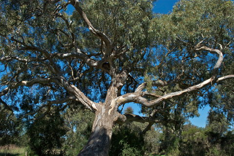 Holey Plains State Park - Accommodation Sunshine Coast 0