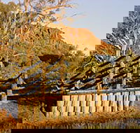 Illamurta Springs Conservation Reserve - Accommodation Sunshine Coast