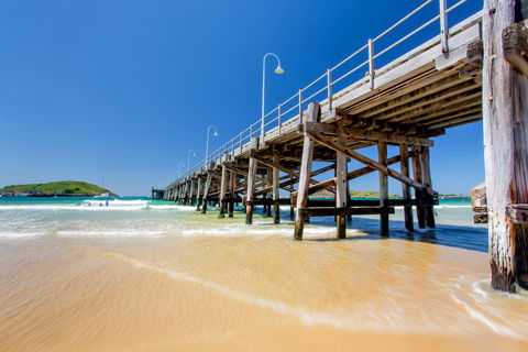 Jetty Beach - Accommodation Sunshine Coast 1
