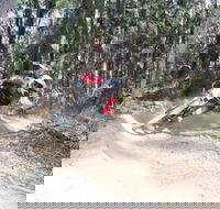 Jolly Nose Mountain Bike Park - Accommodation Sunshine Coast