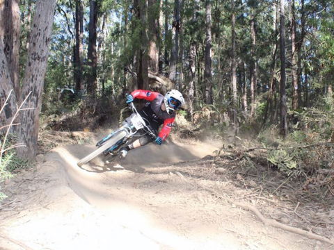 Jolly Nose Mountain Bike Park - Accommodation Sunshine Coast 0