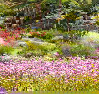 Jurassic Garden AR Experience - Accommodation Sunshine Coast