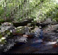 Kangaroo River - Accommodation Sunshine Coast
