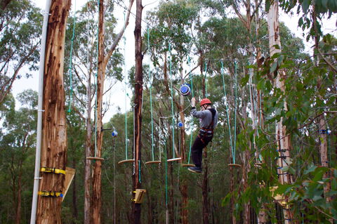 Kinglake Forest Adventures - Accommodation Sunshine Coast 0