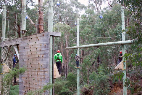 Kinglake Forest Adventures - Accommodation Sunshine Coast 1