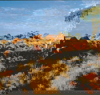 Kunjarra/The Pebbles - Accommodation Sunshine Coast