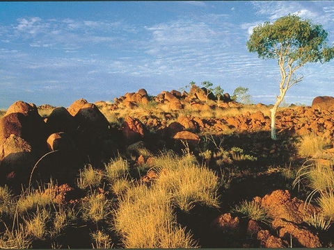 Kunjarra/The Pebbles - Accommodation Sunshine Coast 0