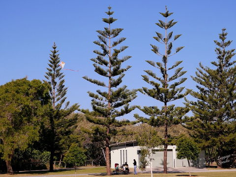 Kurrawa Park - Accommodation Sunshine Coast 0