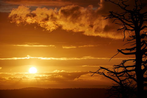 Lady Stonehavens Lookout - Accommodation Sunshine Coast 0