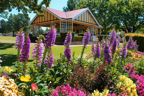 Laurel Bank Park - Accommodation Sunshine Coast 0