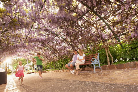 Laurel Bank Park - Accommodation Sunshine Coast 1