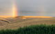 Lessismore Farm Afternoon Farmer - thumb 1