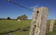 Macleay Valley Coast – Bellbrook Scenic Drive - thumb 1