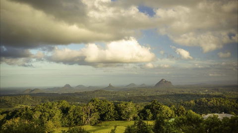 Mary Cairncross Scenic Reserve Rainforest Walk - Accommodation Sunshine Coast 0