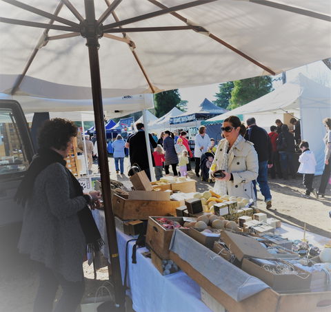 Mornington Racecourse Market - Accommodation Sunshine Coast 0