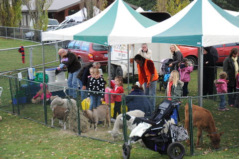 Mornington Racecourse Market - Accommodation Sunshine Coast 2