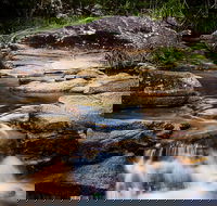 Mothar Mountain Rockpools - Accommodation Sunshine Coast