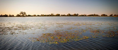 Moulamein Lake - Accommodation Sunshine Coast 1