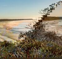 Murramarang National Park - Accommodation Sunshine Coast
