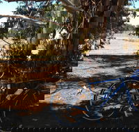Murchison Rail Trail - Accommodation Sunshine Coast