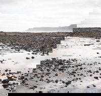 Mushroom Reef Beach - Accommodation Sunshine Coast