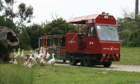 Myuna Farm - Accommodation Sunshine Coast 2