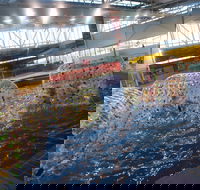 Oasis Regional Aquatic Centre - Accommodation Sunshine Coast