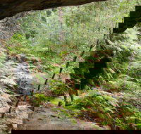 Old Great North Road Bike Ride - Accommodation Sunshine Coast