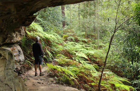 Old Great North Road Bike Ride - Accommodation Sunshine Coast 0