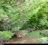 Pirianda Gardens - Accommodation Sunshine Coast