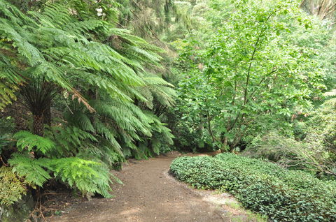 Pirianda Gardens - Accommodation Sunshine Coast 0