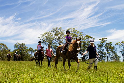 Port Macquarie Horse Riding Centre - Accommodation Sunshine Coast 0