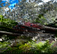 Puffing Billy Railway - Accommodation Sunshine Coast