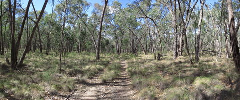 Reef Hills State Park - Accommodation Sunshine Coast 0